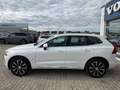 Volvo XC60 Ultimate Bright Recharge Plug-In Hybrid AWD HUD St Weiß - thumbnail 3