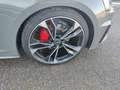 Audi A5 40 TFSI S-Tronic S-Line 2x, Matrix, Grau - thumbnail 15