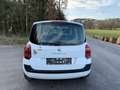 Renault Modus Weiß - thumbnail 8