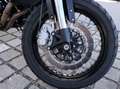 Benelli Leoncino 500 TRAIL EDITION! Rot - thumbnail 9