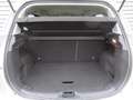 Ford B-Max B-Max 1.0 SCTi EcoBoost - 100 S\u0026S  Titanium Gris - thumbnail 20