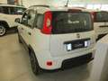 Fiat Panda 1.0 FireFly S&S Hybrid City Life Verde - thumbnail 2