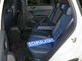 SEAT Ateca Cupra Ateca 2.0 TSI 4Drive DSG7 AHK Navi LM19 DA Blanco - thumbnail 5