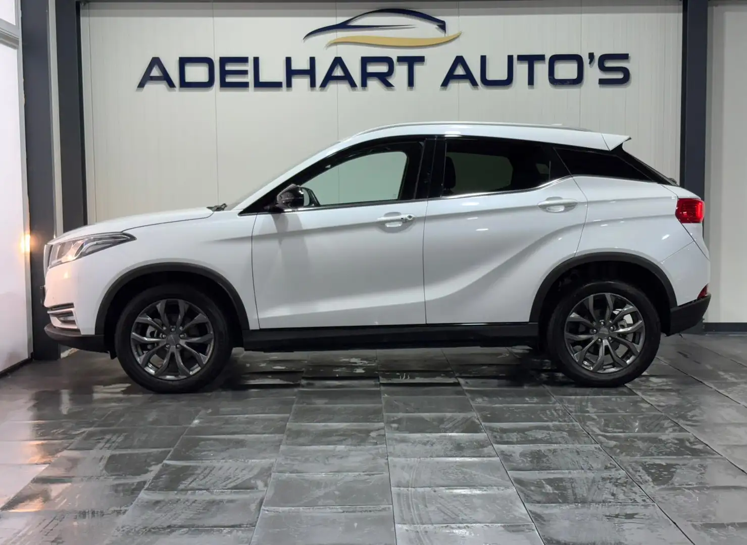 Seres Seres 3 3 52Kwh Automaat / Panorama dak / Lederen interieu Білий - 2