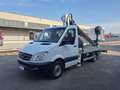 Mercedes-Benz Sprinter F37/35 313 CDI TN PIATTAFORMA AEREA TELESCOPICA Bianco - thumbnail 2