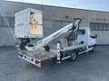 Mercedes-Benz Sprinter F37/35 313 CDI TN PIATTAFORMA AEREA TELESCOPICA Bianco - thumbnail 7