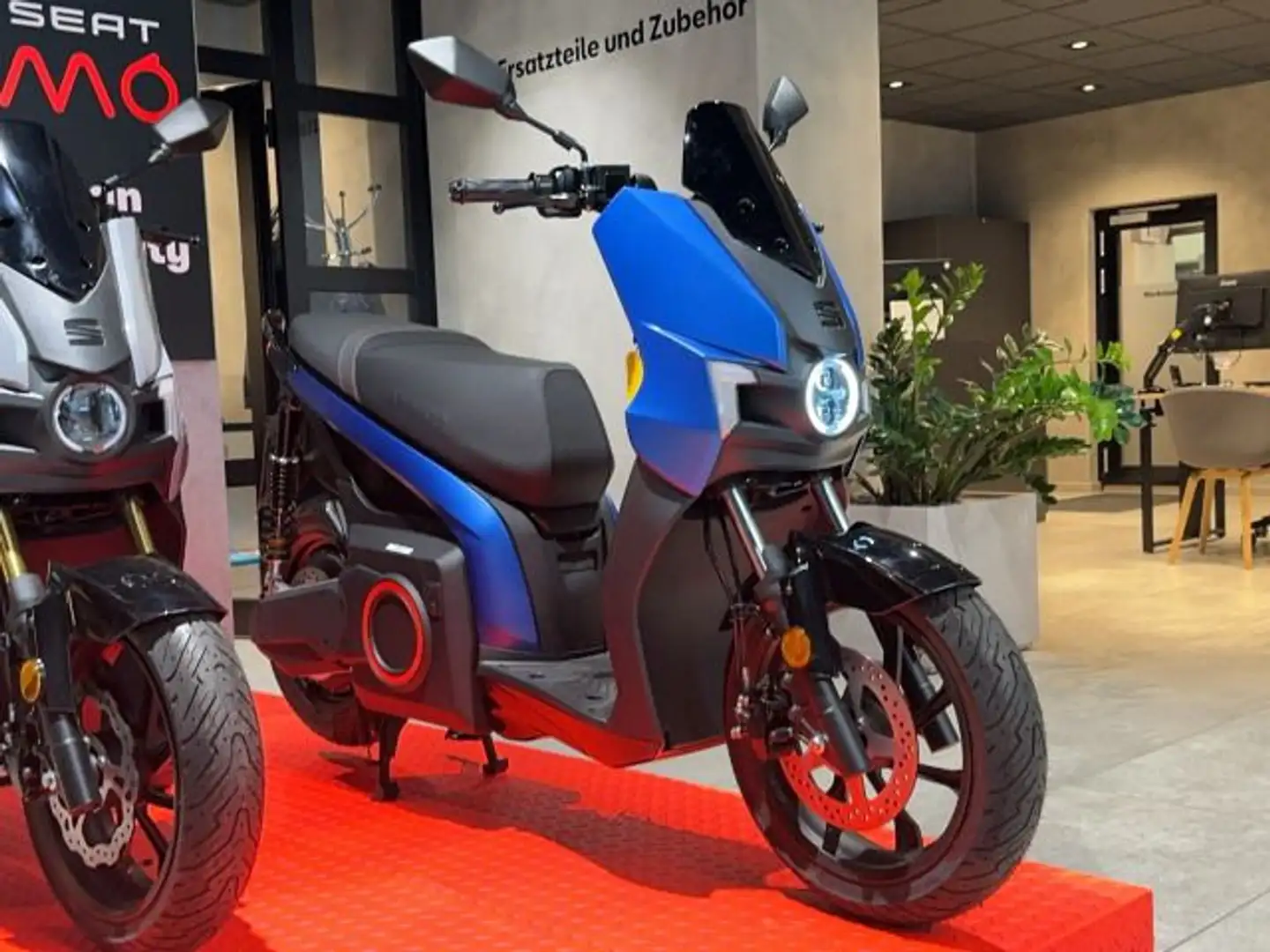 SEAT 50 7 kW (10 PS) Tarifa Blue Blau - 2