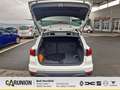 SEAT Arona Style 1.0 TSI 5-Gang Sitzh/LED Scheinw. Weiß - thumbnail 13