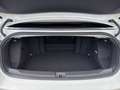 Volkswagen T-Roc Style 1.0 TSI 81kW 6-Gang*NAVI*K Weiß - thumbnail 10