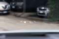 BMW 120 120d 48V MSport auto Blanc - thumbnail 29