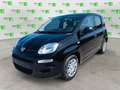 Fiat Panda 1.0 FireFly S&S Hybrid Nero - thumbnail 2