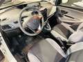 Lancia Ypsilon Ypsilon III 0.9 t.air Elefantino ecochic*GPL* 80cv Blanc - thumbnail 6