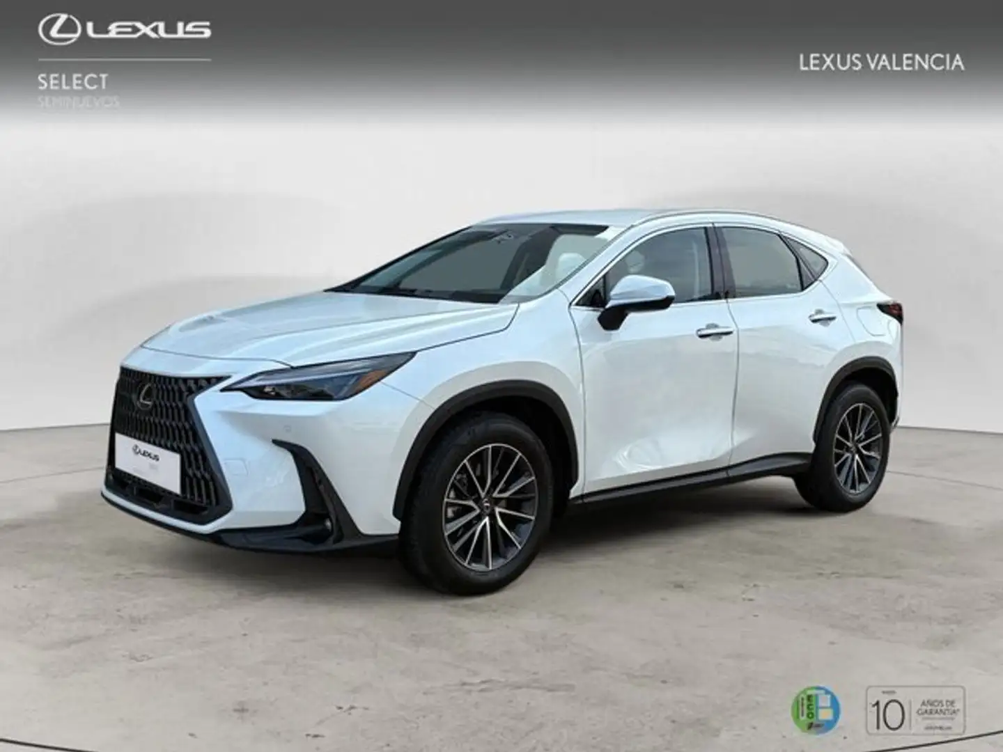 Lexus NX 350h 2WD PREMIUM+ Weiß - 1