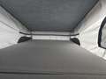 Ford Tourneo Custom Ausstell-Schlafdach Remo 8 sitz klima - thumbnail 3
