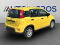 Fiat Panda 1.0 FAIRFLY BENZINA/GPL Giallo - thumbnail 6