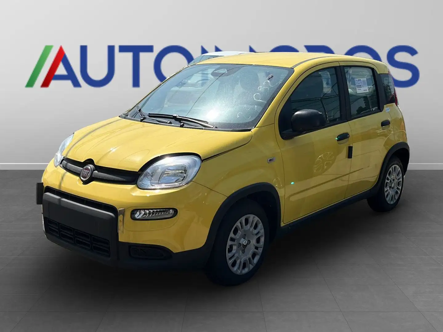 Fiat Panda 1.0 FAIRFLY BENZINA/GPL Giallo - 1