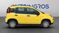 Fiat Panda 1.0 FAIRFLY BENZINA/GPL Giallo - thumbnail 5