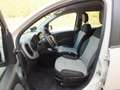 Fiat Panda PANDA 1.2 EURO 6 -GPL -LOUNGE-CLIMA AUTOMATICO- Beige - thumbnail 10