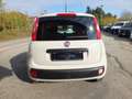 Fiat Panda PANDA 1.2 EURO 6 -GPL -LOUNGE-CLIMA AUTOMATICO- Beige - thumbnail 5