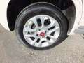 Fiat Panda PANDA 1.2 EURO 6 -GPL -LOUNGE-CLIMA AUTOMATICO- Beige - thumbnail 16