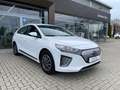 Hyundai IONIQ Basis Elektro Klimaautomatik Kamera Tempo Blanc - thumbnail 1