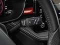 Skoda Fabia 1.0 TSI Monte Carlo DSG 85kW Gris - thumbnail 15