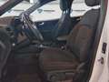 Ford Kuga ST-Line 2.5 Duratec PHEV 165kW Auto Blanco - thumbnail 15