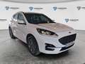 Ford Kuga ST-Line 2.5 Duratec PHEV 165kW Auto Blanco - thumbnail 8