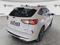 Ford Kuga ST-Line 2.5 Duratec PHEV 165kW Auto Blanco - thumbnail 6