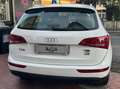 Audi Q5 2.0 tdi quattro 170cv s-tronic Wit - thumbnail 6