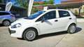 Fiat Punto Evo Evo 5p 1.4 Benzina **Neopatentati** Bianco - thumbnail 4