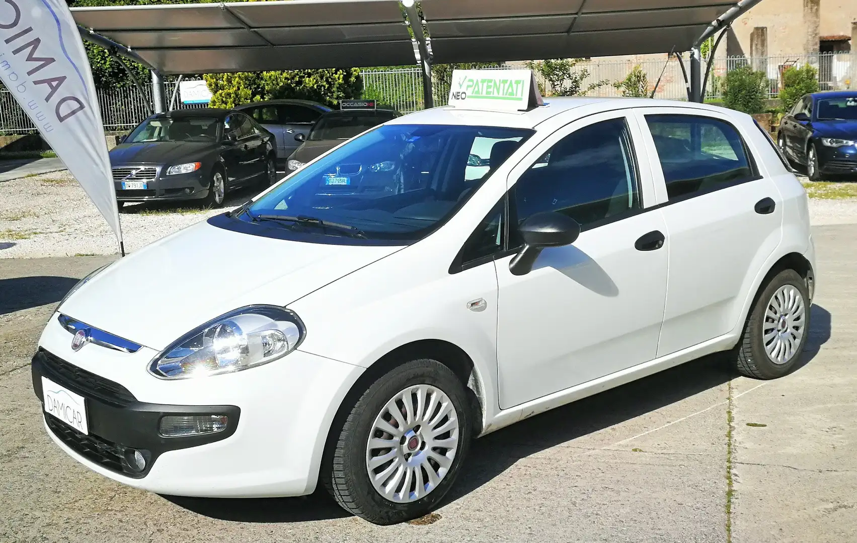 Fiat Punto Evo Evo 5p 1.4 Benzina **Neopatentati** Bianco - 1