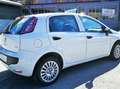 Fiat Punto Evo Evo 5p 1.4 Benzina **Neopatentati** Weiß - thumbnail 5