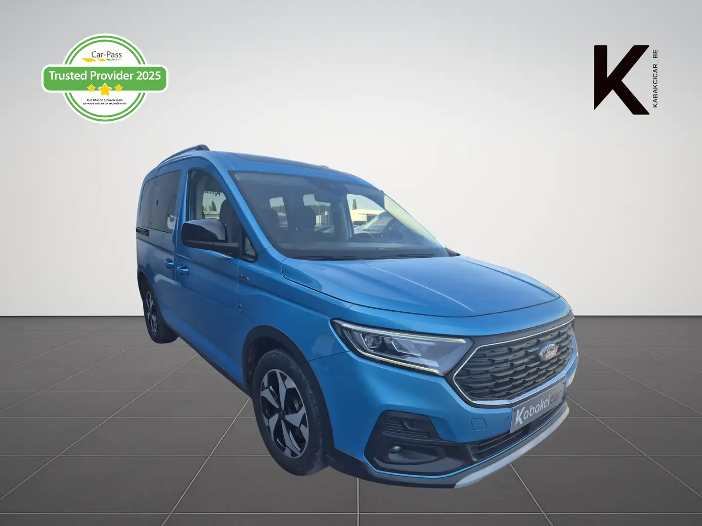 ford tourneo
