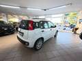 Fiat Panda Panda III 2016 1.2 Easy easypower Gpl 69cv my19 Wit - thumbnail 5