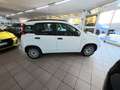 Fiat Panda Panda III 2016 1.2 Easy easypower Gpl 69cv my19 Wit - thumbnail 4