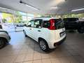 Fiat Panda Panda III 2016 1.2 Easy easypower Gpl 69cv my19 Wit - thumbnail 7