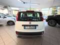 Fiat Panda Panda III 2016 1.2 Easy easypower Gpl 69cv my19 Wit - thumbnail 6