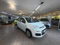 Fiat Panda Panda III 2016 1.2 Easy easypower Gpl 69cv my19 Wit - thumbnail 3