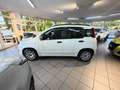 Fiat Panda Panda III 2016 1.2 Easy easypower Gpl 69cv my19 Wit - thumbnail 8