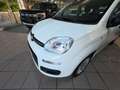 Fiat Panda Panda III 2016 1.2 Easy easypower Gpl 69cv my19 Wit - thumbnail 9