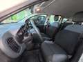 Fiat Panda Panda III 2016 1.2 Easy easypower Gpl 69cv my19 Wit - thumbnail 11