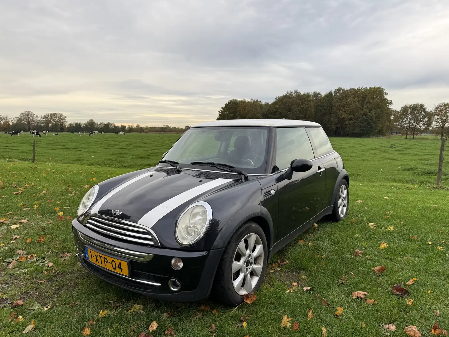 MINI Cooper 1.6 Chili Zwart - 1