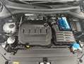 Volkswagen Tiguan Life 2.0 TDI 150cv DSG Gris - thumbnail 28