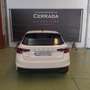 Skoda Fabia 1.0 TSI Ambition 81kW Blanco - thumbnail 4