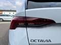 Skoda Octavia Combi 2,0 TDI Style DSG | NP €46.800 Weiß - thumbnail 39