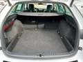 Skoda Octavia Combi 2,0 TDI Style DSG | NP €46.800 Weiß - thumbnail 15