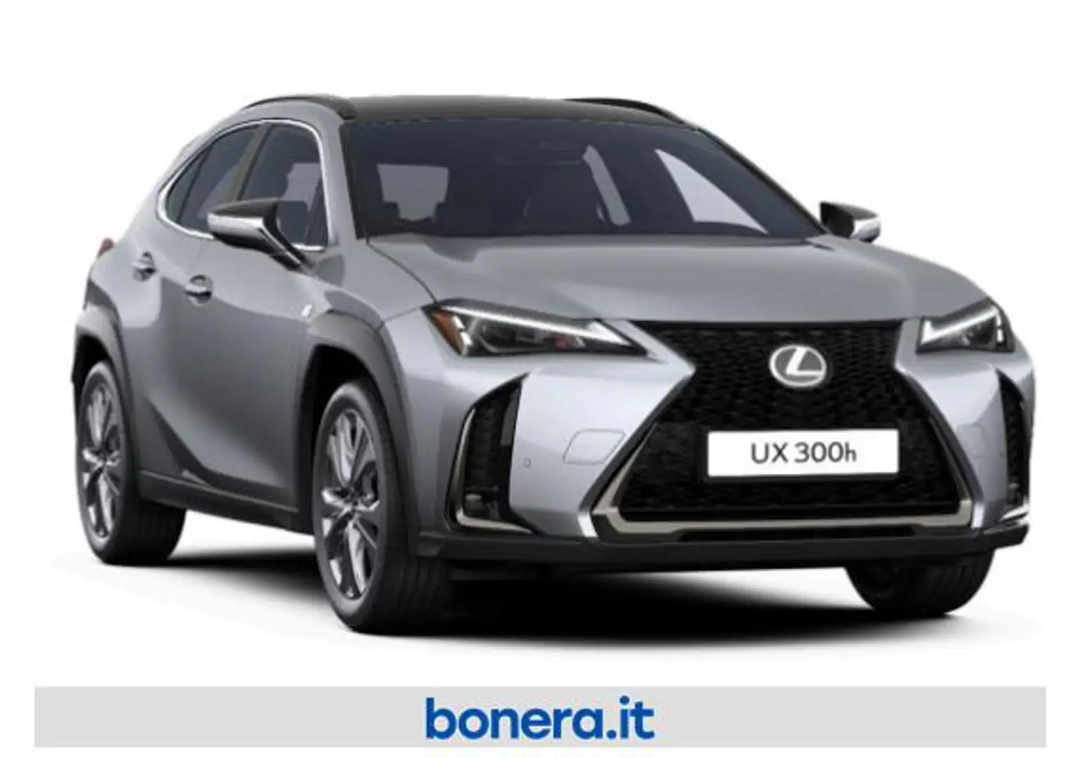 Lexus UX 300e 300h 2.0 F-Design 2wd cvt Grigio - 2
