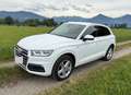 Audi Q5 Q5 2,0 TDI quattro ultra sport S-tronic Weiß - thumbnail 2