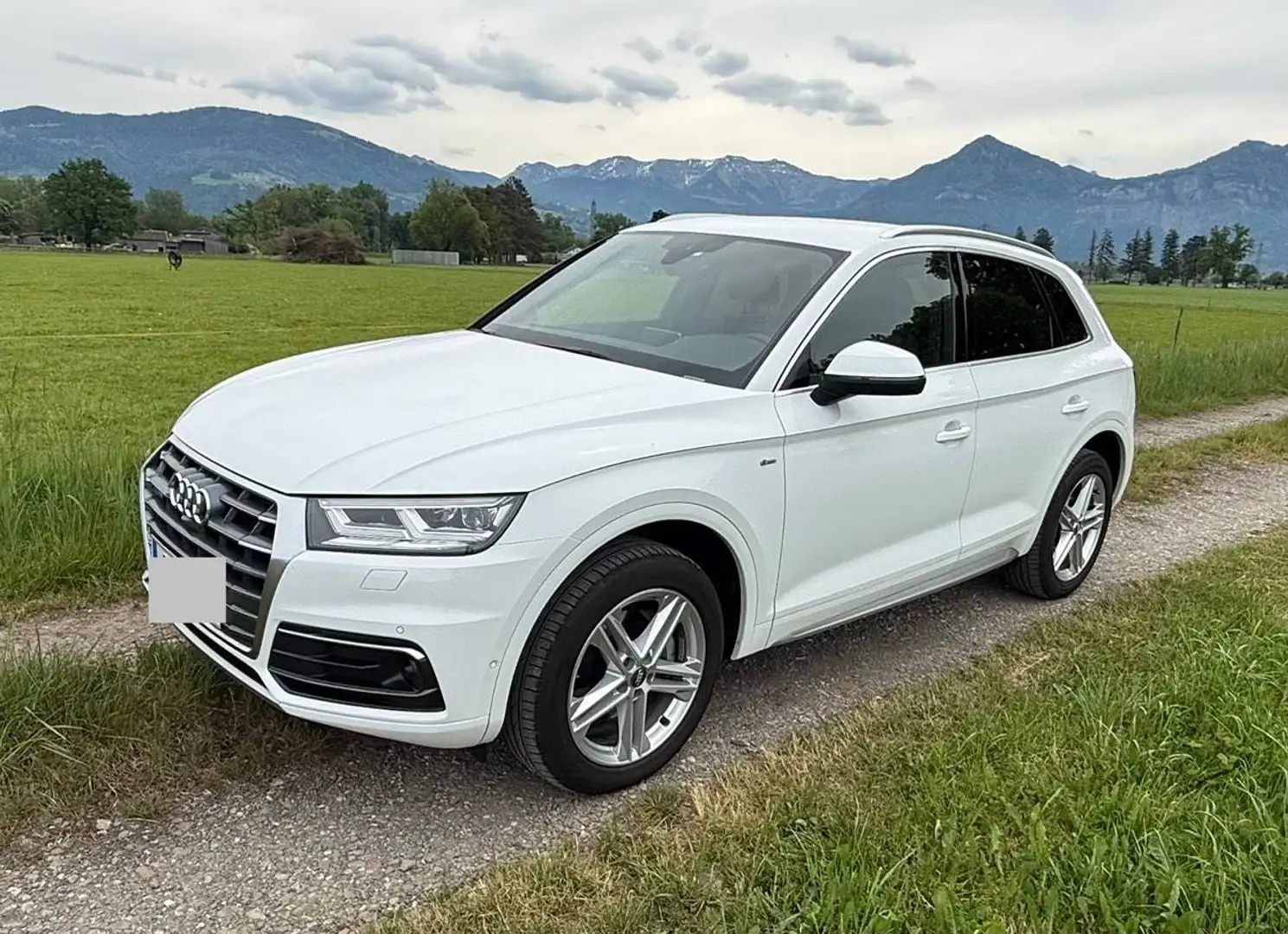 Audi Q5 Q5 2,0 TDI quattro ultra sport S-tronic Weiß - 2